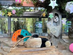 -海南热带野生动植物园