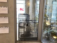 -阿那亚第六食堂(文创街区店)