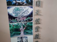 -武汉紫薇都市田园