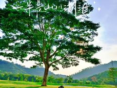 -风云岭森林公园