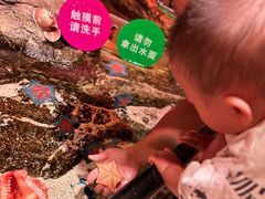 -沈阳海洋探索中心