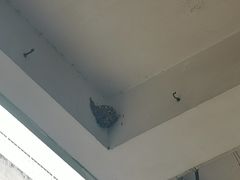 -陈记泸州酸菜豆花火锅(建设路店)
