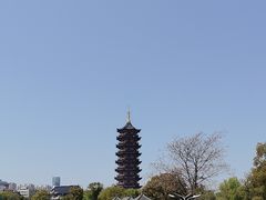 -葛仙湖公园
