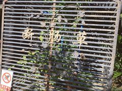 -广州神农草堂中医药博物馆