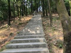 -火炉山森林公园