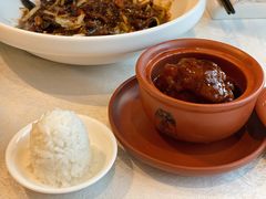 张氏狮子头-羲和雅苑•北京烤鸭(吴中路万象城店)