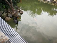 -石排湾郊野公园