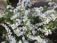 -香山公园-东宫门售票处