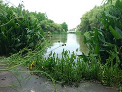 -新江湾城公园