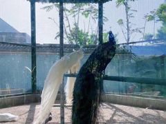 -瑞博尔花园酒店(太周创新产业园店)