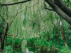 -杭州城北体育公园