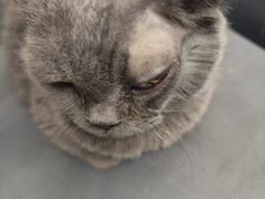 -北京赛佳动物医院