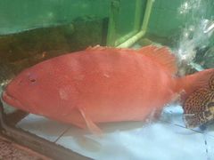 -快乐海鲜城(虎泉街店)