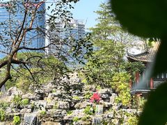 -顺峰山公园