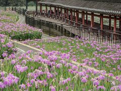 -龙头寺公园
