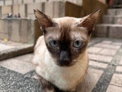 -曼谷国家博物馆