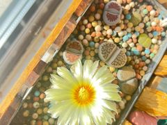 -海底捞火锅(高新活力汇店)