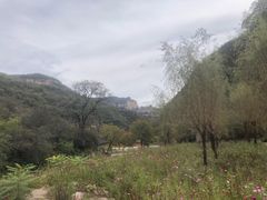 -沕沕水生态风景区