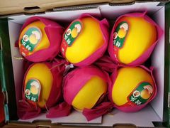 -上海龙吴水胜海发市场