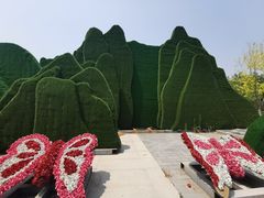 -莲花池公园