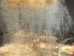 -老阿妈蒙古村·蒙古包·草原文化·歌舞表演(老君堂店)