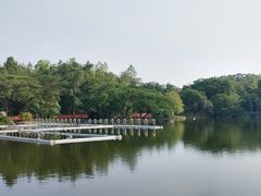 -清迈夜间动物园