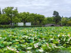 -无锡蠡湖国家湿地公园-蠡园