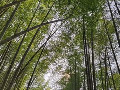 -千泷沟大瀑布旅游区