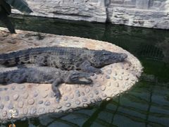 -石家庄市动物园