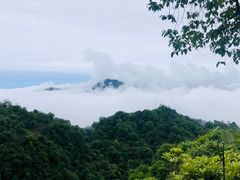 -青城山