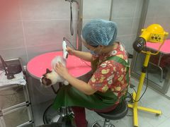 -宠福鑫康馨动物医院·骨科·眼科