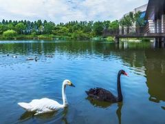 -上海怡沁园度假酒店