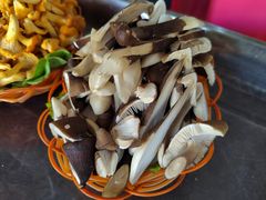 -佳缘野生菌食府