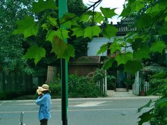 -白鹭湾湿地公园