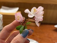 -鮨清日本料理