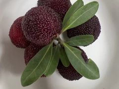 -东山风景区(洞庭东山)