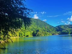 -深圳仙湖植物园