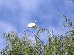 -苏州河梦清园环保主题公园