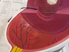 -武汉大学附属爱尔眼科医院(湖北总院)