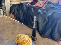 -新鸿港水果市场(三亚新鸿港国际商品交易中心店)