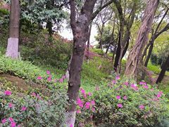 -蟹山公园