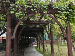 -天鹿湖森林公园