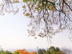 -大蜀山国家森林公园