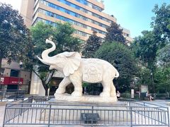 -白象居