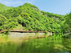 -龙湾潭国家森林公园