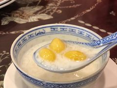 -大中鱼翅 Taitong Shark Fin