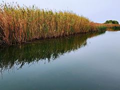 -苏州太湖湖滨国家湿地公园