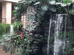 -白天鹅宾馆·流浮阁咖啡厅
