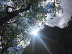 -大岭沟猕猴桃谷风景区