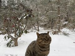 -终南山南五台景区